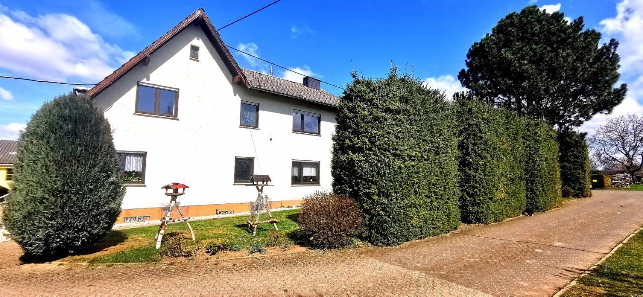 Ferienwohnung Landidylle Nassheck ディーブリヒ エクステリア 写真
