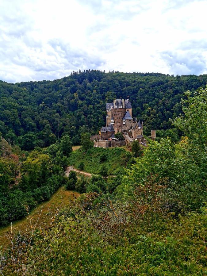 Ferienwohnung Landidylle Nassheck ディーブリヒ エクステリア 写真