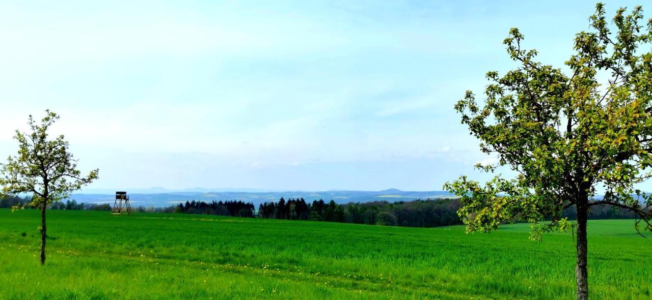 Ferienwohnung Landidylle Nassheck ディーブリヒ エクステリア 写真